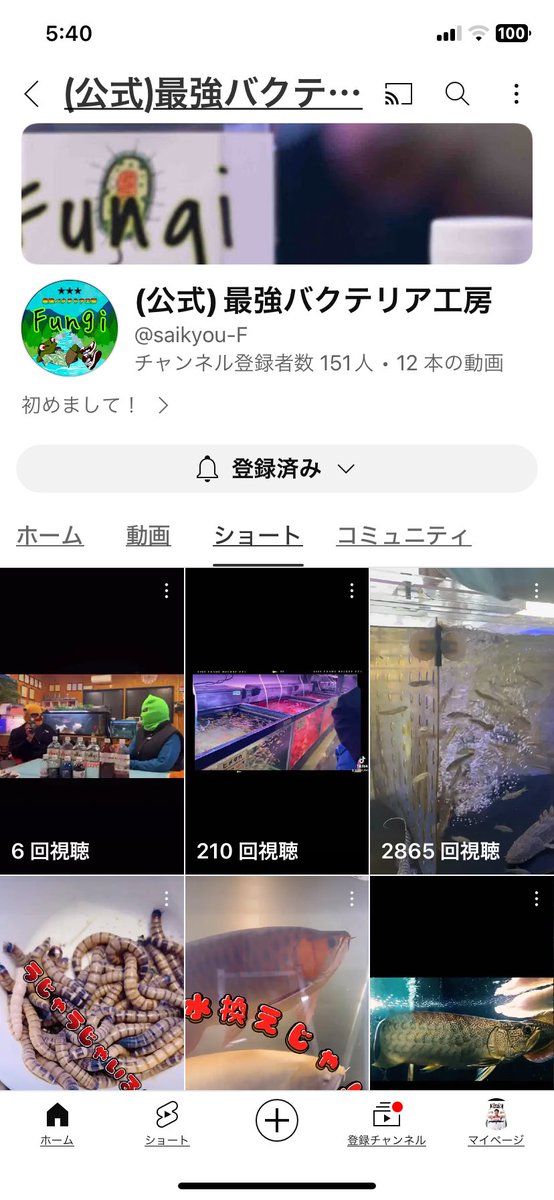 chu_vandan's tweet photo. @bababa303030 完了🥰 https://t.co/BXUiLxCtxC