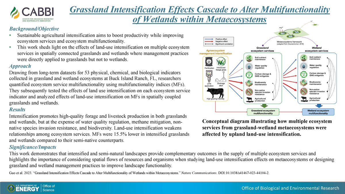 CABBI (@cabbibio) on Twitter photo New paper in <a href="/NatureComms/">Nature Communications</a>: It's important to consider the flow of resources and organisms when studying land-use intensification effects on ecosystems or designing wetland and grassland management practices.
<a href="/i_delucia/">Evan DeLucia</a> <a href="/NGomezCasanovas/">Nuria Gomez-Casanovas</a> @CBernacchi
📰 nature.com/articles/s4146… New paper in <a href="/NatureComms/">Nature Communications</a>: It's important to consider the flow of resources and organisms when studying land-use intensification effects on ecosystems or designing wetland and grassland management practices.
<a href="/i_delucia/">Evan DeLucia</a> <a href="/NGomezCasanovas/">Nuria Gomez-Casanovas</a> @CBernacchi
📰 nature.com/articles/s4146…