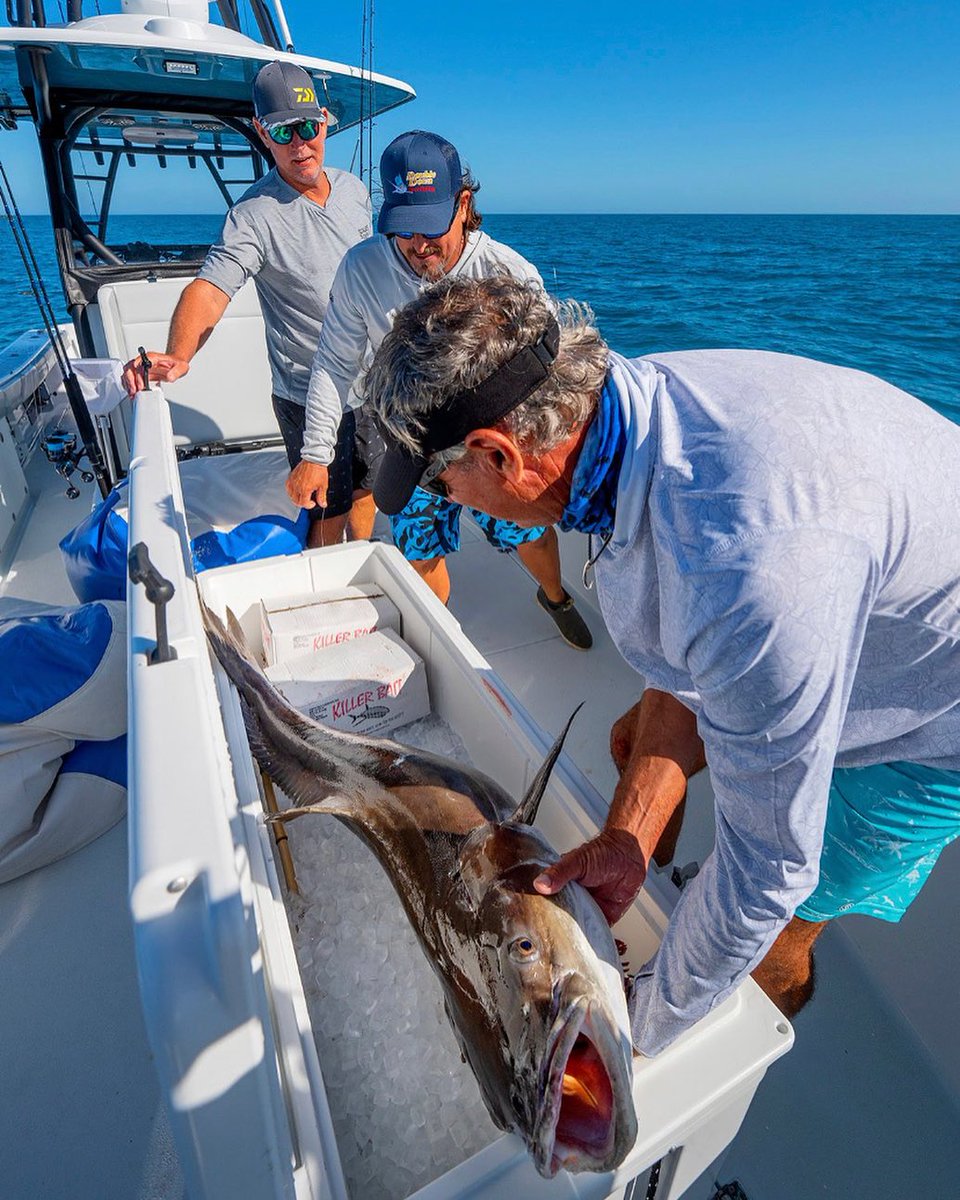 WAYPOINT tweet media