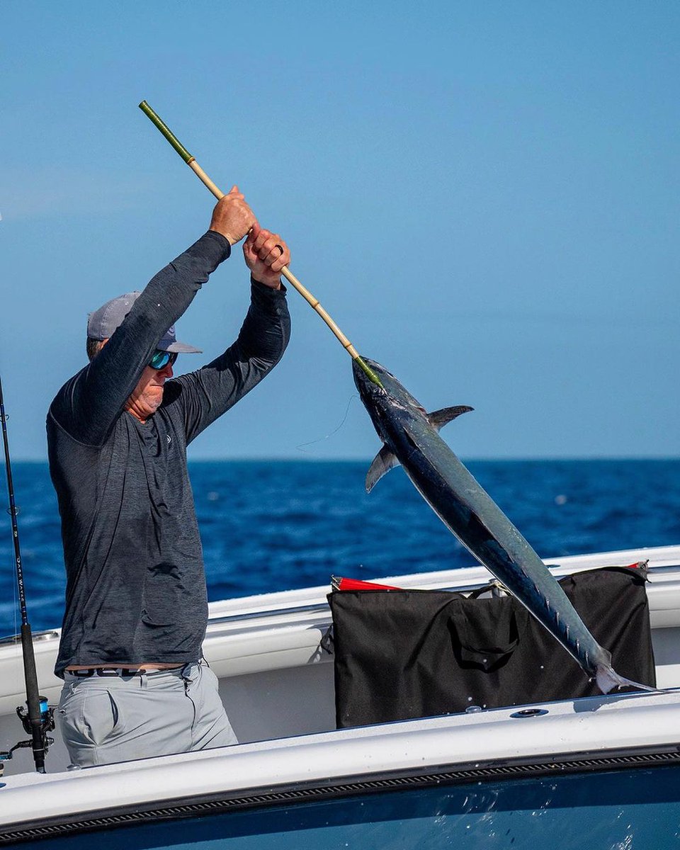Catch episodes of <a href="/IntotheBlueTv/">IntotheBlue</a> for FREE on the <a href="/TvWaypoint/">WAYPOINT</a> app and website, and join Captains Scott Walker and Steve Rodger as they fish for tuna, sailfish, marlin, and more in the blue waters off the Florida Keys and beyond!

WATCH NOW: bit.ly/4apZML1

#WAYPOINT