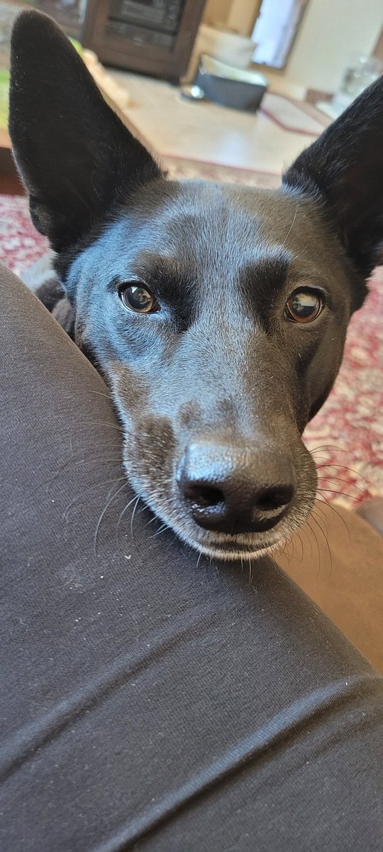 Hi friends!