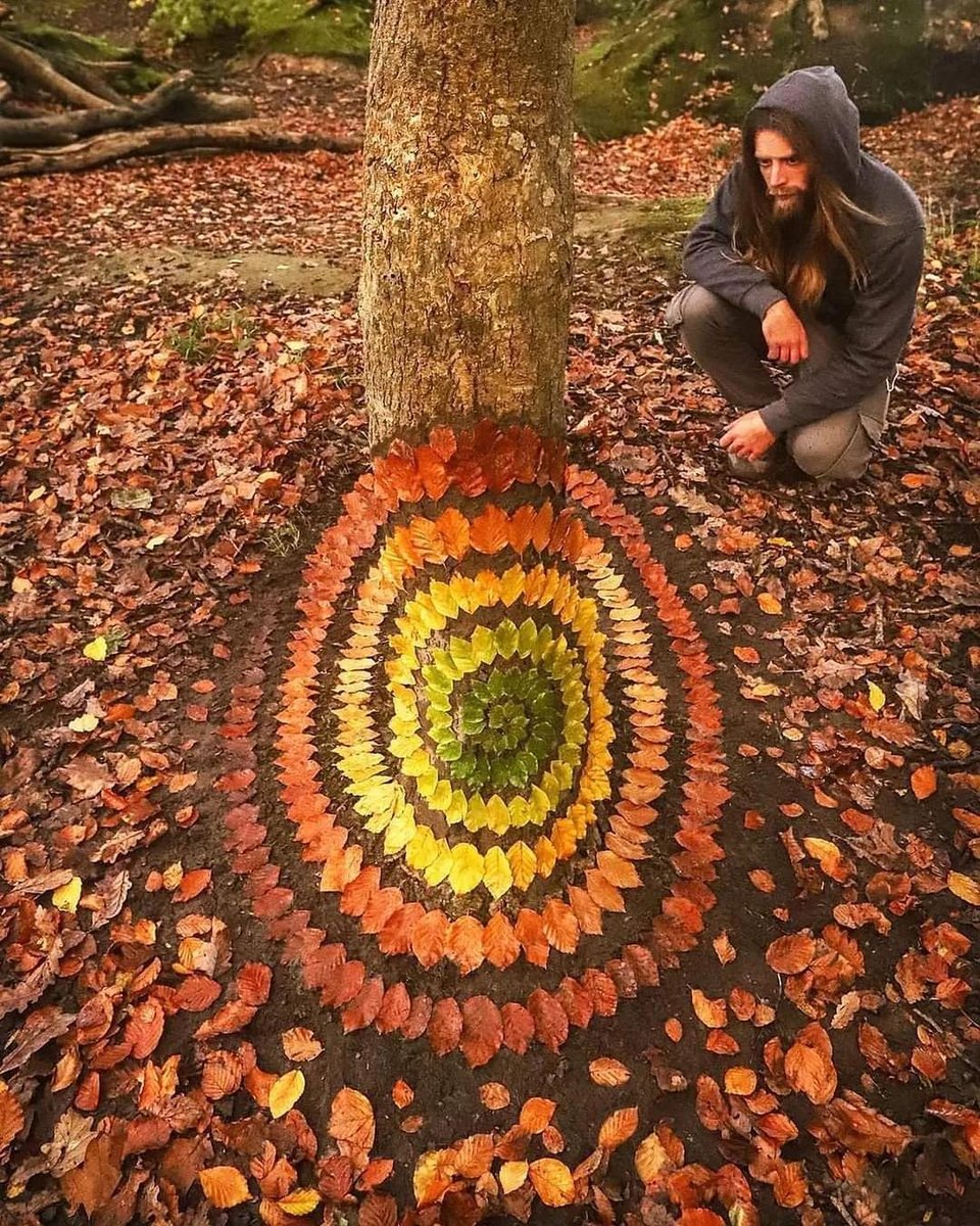 RincnCuriosoo's tweet photo. El ciclo de una hoja 🍂🍃🍁🍀

📸 Jon Foreman https://t.co/gL1kjayWPB