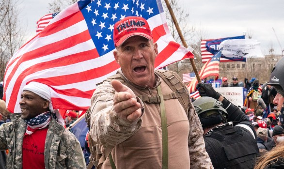 Constitutional Gator tweet media