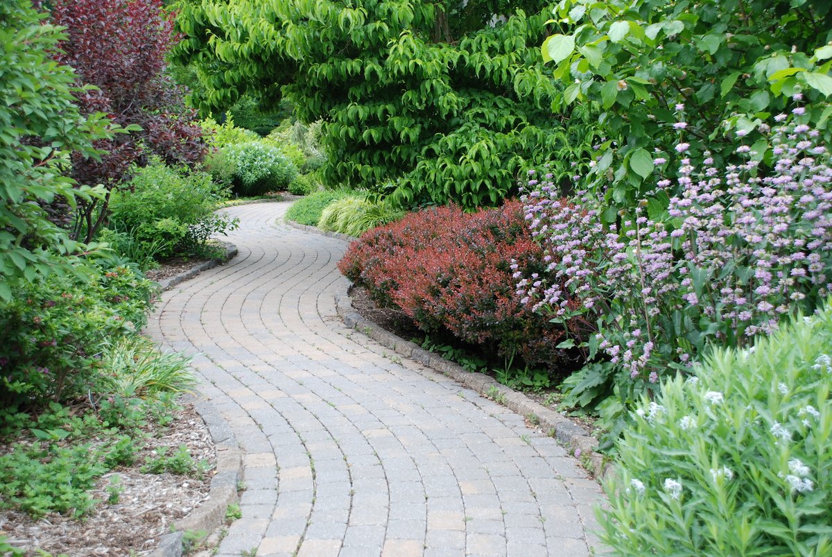 kidlib1's tweet photo. @jasonrowphoto The #frelinghuysenarboretum #arboretum #leadinglines #path #spring #brickpath https://t.co/xskqD1cVhY