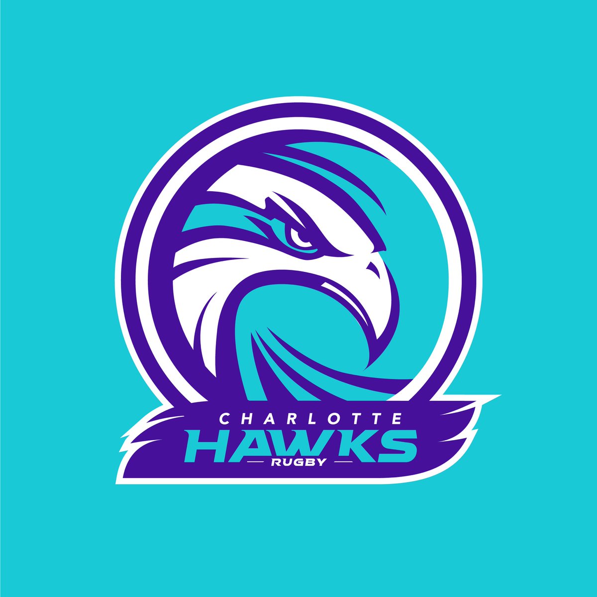 Designing_Rugby's tweet photo. Just a what if scenario here with rumors of a Charlotte team under the ‘Hawks’ name is said to be entering @usmlr 2024. MLR could use some color variation in their team colors. What say you @raysrugby 👀 https://t.co/C2CB55BoIX