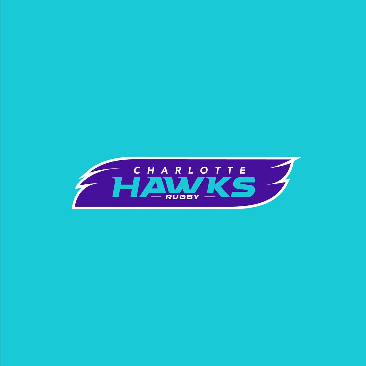 Designing_Rugby's tweet photo. Just a what if scenario here with rumors of a Charlotte team under the ‘Hawks’ name is said to be entering @usmlr 2024. MLR could use some color variation in their team colors. What say you @raysrugby 👀 https://t.co/C2CB55BoIX