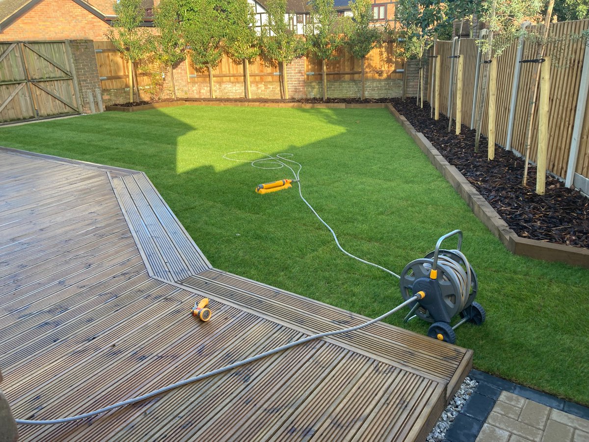 Green and Ground tweet media