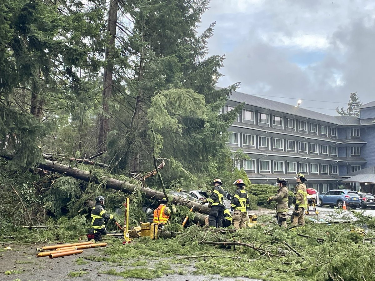 Firefighters are on scene of a rescue in the 4700 blk of S. 48th St. A large tree fell on a vehicle trapping one occupant inside. Tech rescue crews stabilized the tree and vehicle, and then safely removed the patient. The pt. was transported for evaluation with minor injuries.