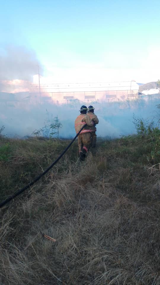 #SNGR/BN *REDAN* : CENTRAL *ZOEDAN*: CARABOBO #atendemos incendio de vegetación zona industrial castillete @leonjura @DGNBEnLinea @CentralReedan @zoedancarabobo @Alc_SanDiego