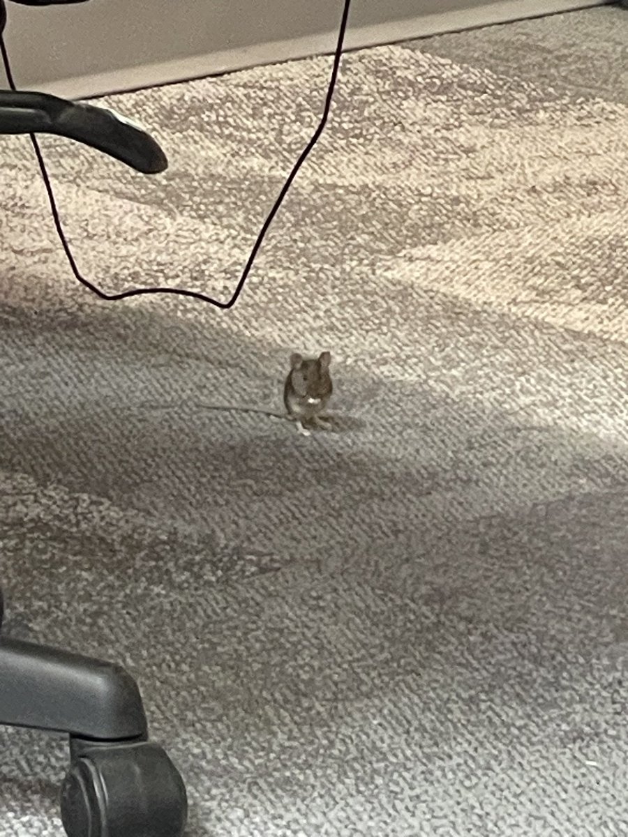 Dr. Jen M tweet media