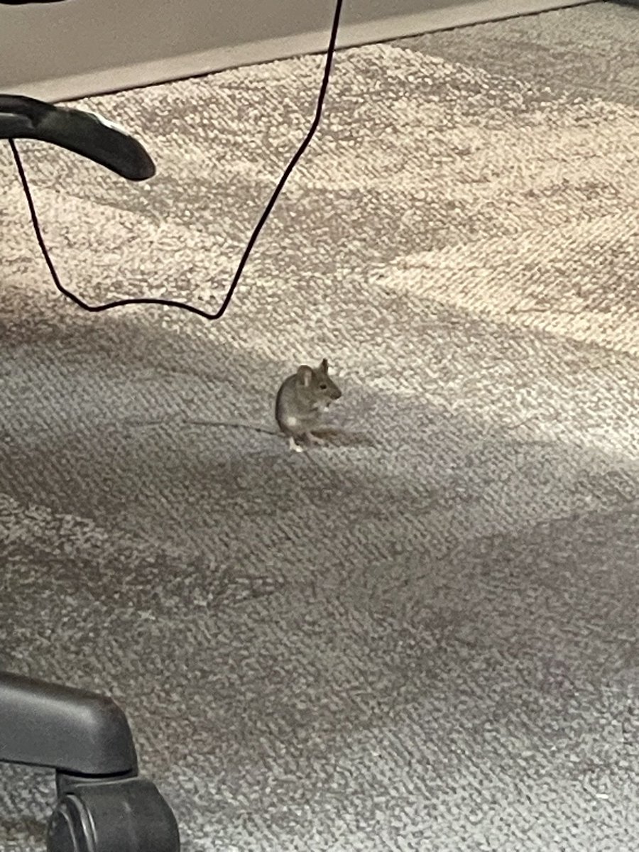 Dr. Jen M tweet media