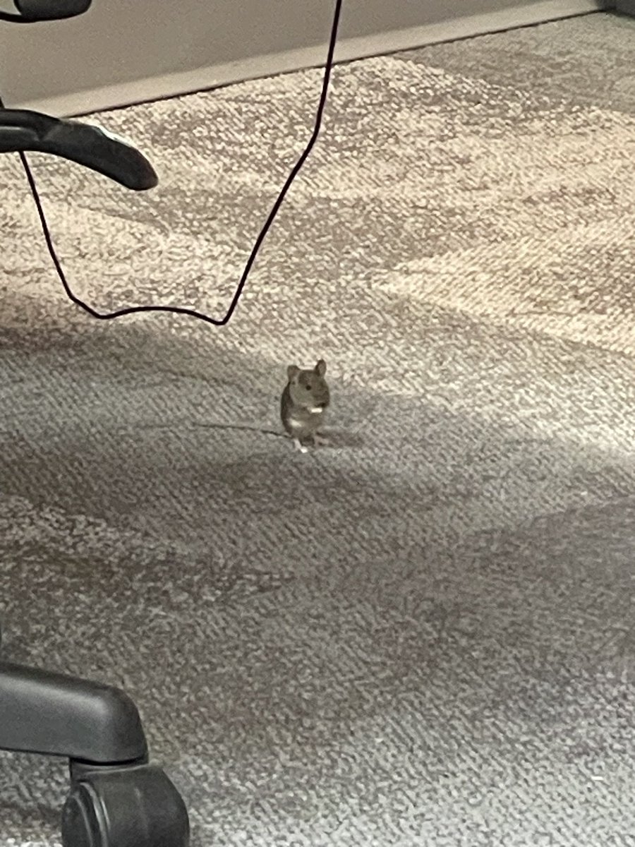 Dr. Jen M tweet media