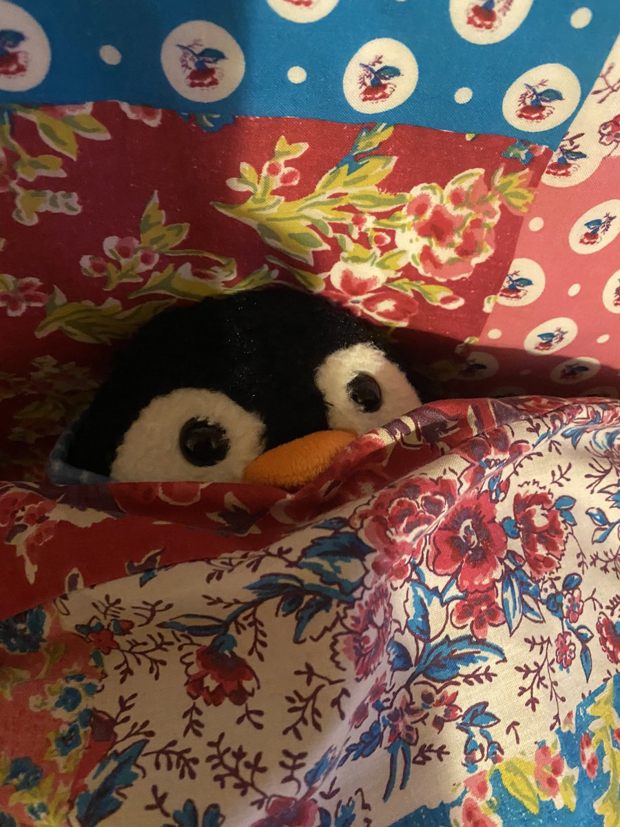 SadPenguinTime's tweet photo. Sad Penguin is feeling very January. Everything is a bit much, a bit overwhelming, a bit confusing. Everyone expects penguins to hit the ice running in January. Maybe they should stay in bed instead. https://t.co/xmF47svs0P