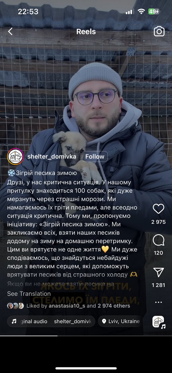 _pnk_lemonade's tweet photo. Домівка Врятованих тварин у Львові просять на час зими на перетримку взяти песика шоб їм не було зимно. Якщо ви хотіли собачку, але сумніваєтеся чи витримаєте це якраз дуже ваш шанс перевірити як це і ше й врятувати життя собачки. https://t.co/aun1YgNOPW