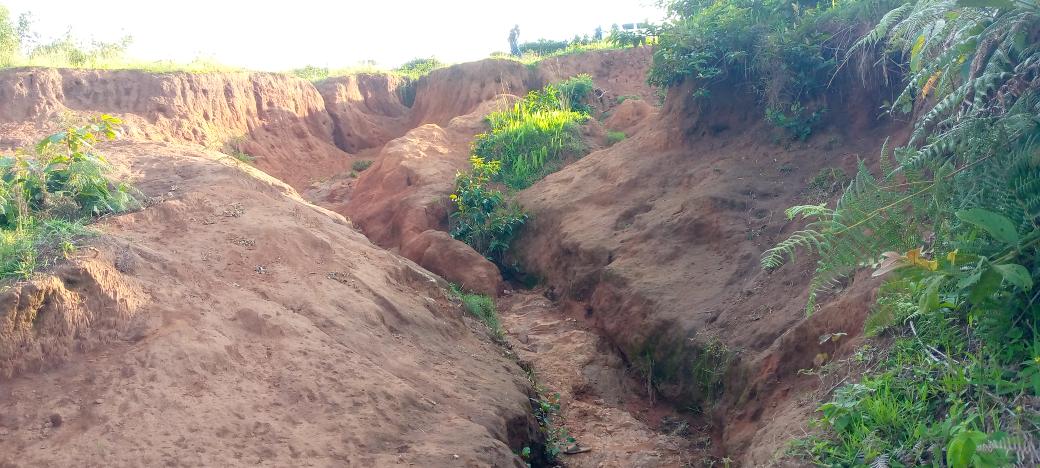 burungaProvince's tweet photo. Buramatari w'intara ya Makamba asaba @AHAMR na #ETRAC gutorera inyishu imigende yo kw'isôko rya Nyabusunzu ku mutumba na komine Mabanda,itanguye gutwarwa n'inkukura itarashikirizwa.Yabishikirije ku wa 8/1/2024 mu rugendo yagize kuri iryo sôko https://t.co/tmD1WT7KdH
@GeneralNeva https://t.co/TQiWG6hs48