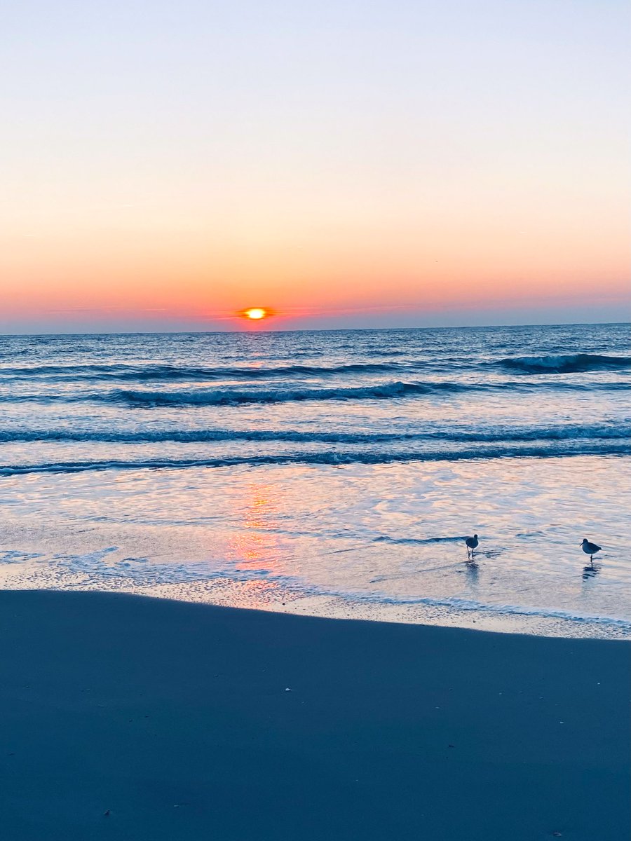 #TwoForTuesday #Sunrise #BeachVibes #MorningRuns #birds #birdphotography #nature