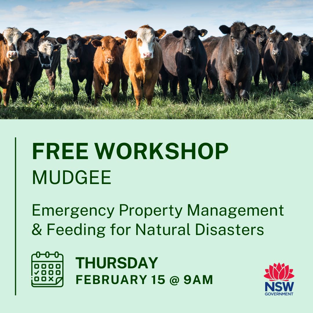 Join us for a FREE workshop in Mudgee on Emergency Property Management and Feeding for Natural Disasters with Brett Littler Central Tablelands LLS and Tracy Lamb NSW DPI. Register here: brnw.ch/21wFW5H
