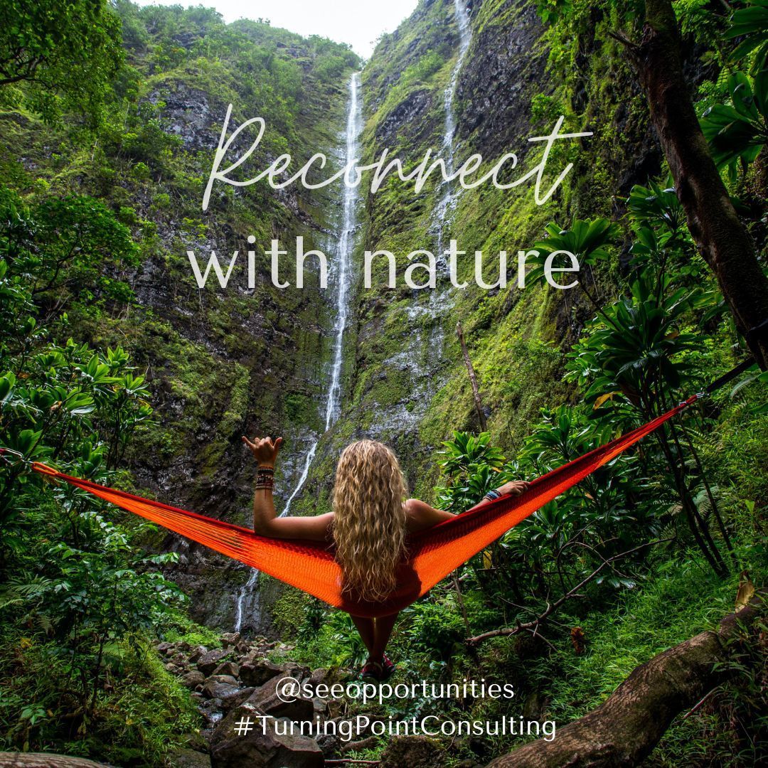 Turning Point Consulting tweet media