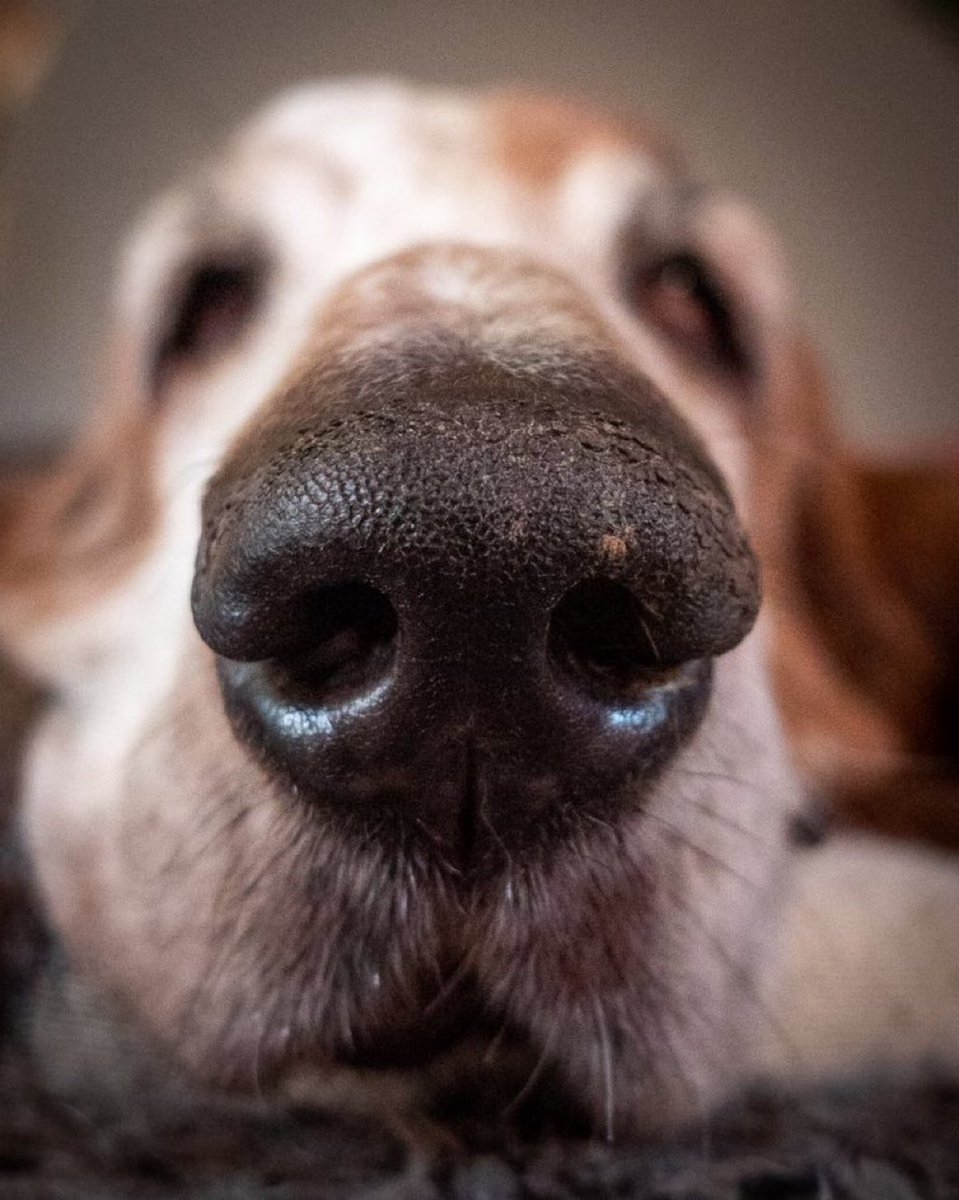 Phil Sledge tweet media