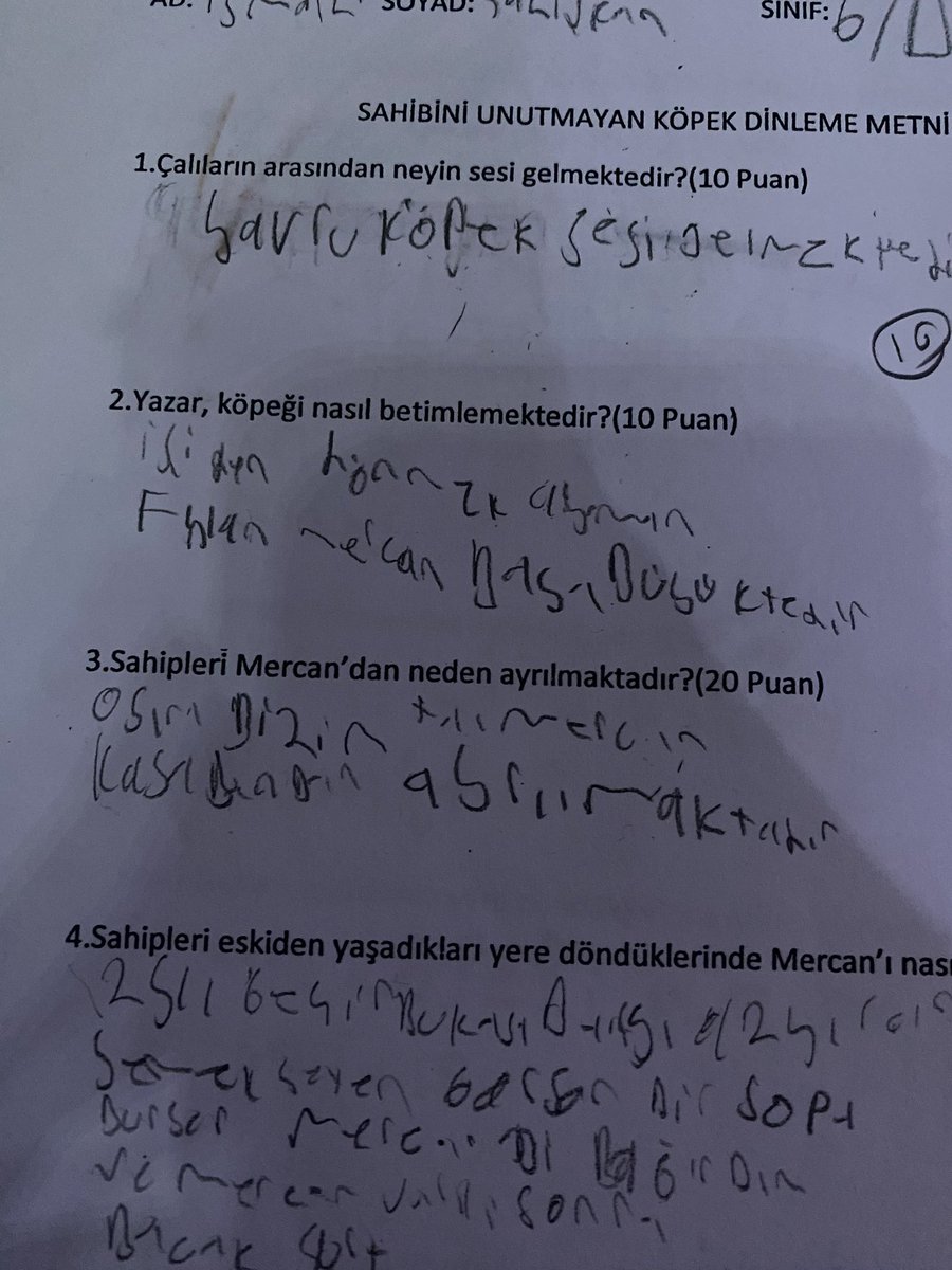 Bu yazıyı çözümleyebilecek bir dilbilimci ne bileyim bir epigrafi uzmanı falan var mıdır acaba ? Benim hiçbir akademik bilgim bunu çözümlemeye yetmiyor çünkü