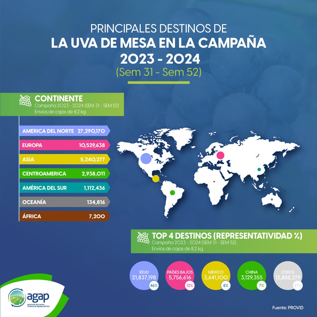 AGAP_PERU's tweet image. Conoce cuáles son los principales destinos de exportación de la uva de mesa peruana, según la data de #PROVID (acumulado semana 31 - semana 52 de la campaña 2023 – 2024). 🍇🚢

#AGAP #PROVID #data #ExportacionUva #uvademesa #destinosdeexportacion #campañadeuva