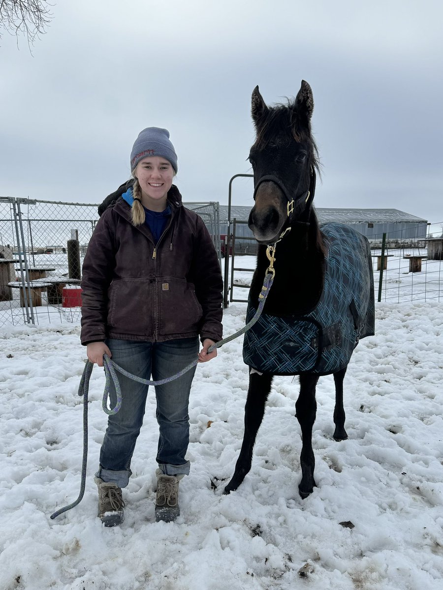 ThatPinto's tweet image. New baby horse alert!   A few week ago I got a new Arabian weanling filly!  Her registered name is April Again and barn name as of right now is April.  Give me barn name suggestions!