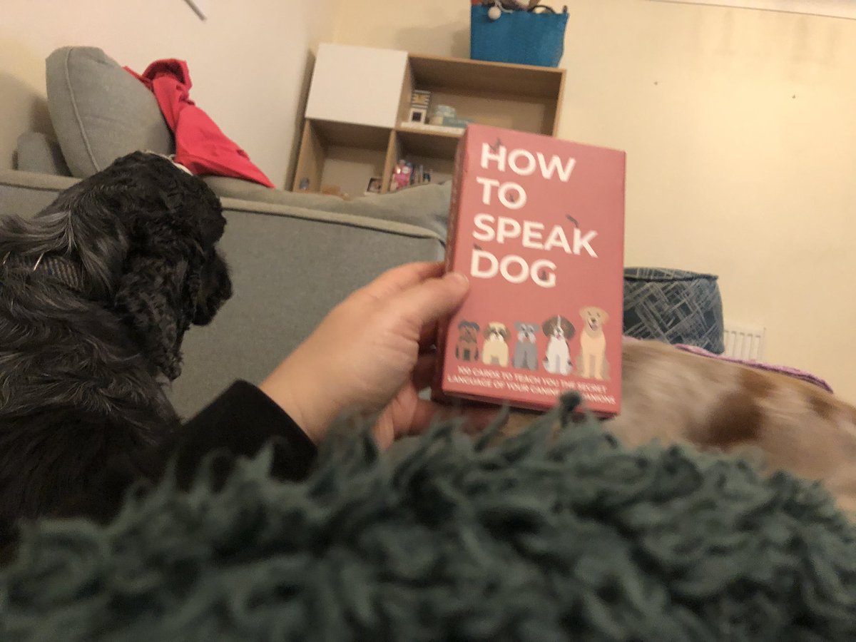loz2308's tweet photo. Thank you for this excellent Christmas present @Dr_Castelino - do you think there is a flash card in there with the dog for “go away, I’m trying to do my yoga”?! As I am definitely going to need it to get me through this 30 day challenge 😬 #YWAflow #yogawithadriene https://t.co/jVcIdjyIax