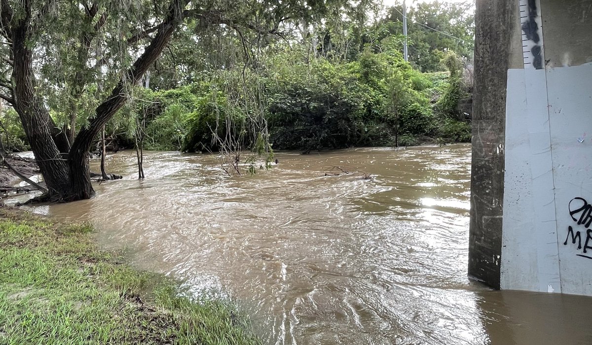 BronFredericks's tweet photo. The same stretch of #Bundamba Creek Sunday & today, Wednesday. There were many areas I walked on Sunday that weren’t accessible today because of flood water. I kept a safe distance.
#Ipswich #Qld https://t.co/tsBECszpHU