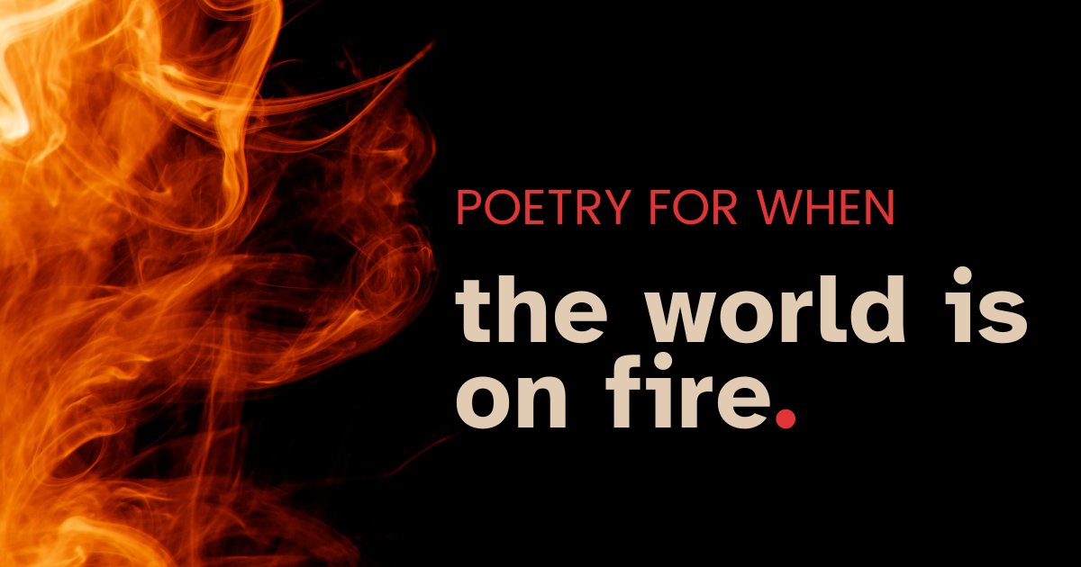 AC Library tweet media