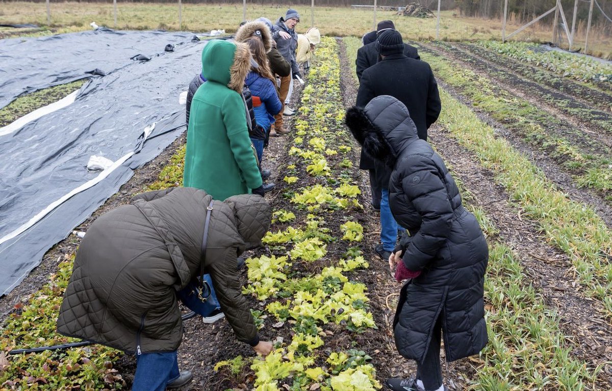 ptseminary's tweet photo. Today, our MAT students ventured to Princeton Seminary's Farminary for their in-person instruction. Students participated in a tour and performed hands on learning around the grounds!
#MATstudentlife #MATatPTSem #MATlookslike #PrincetonSeminary #ptsemlookslike #ptsem https://t.co/YWFA7s0Zvl