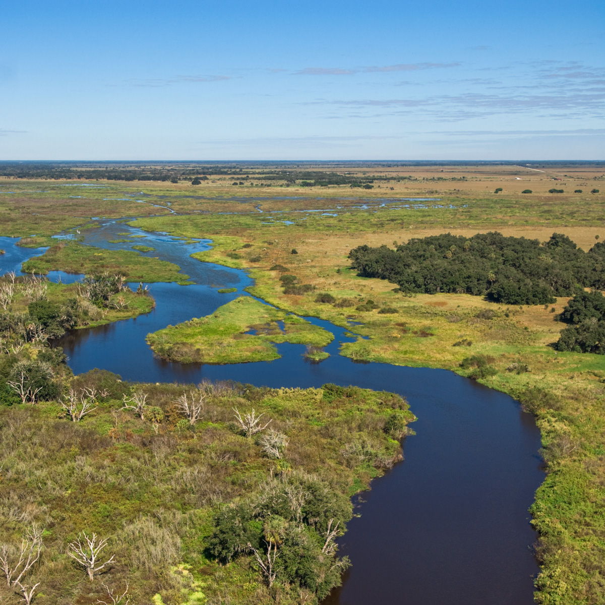 Join <a href="/SFWMD/">South Florida Water Management District</a> for two Open House meetings in Central FL about the Phased Implementation of the Kissimmee River Headwaters Revitalization Schedule.

🗓 Tues., Jan. 30, 2024 from 6pm-8pm
🗓 Wed., Jan. 31, 2024 from 1pm-3pm

Visit SFWMD.gov/News for location info &amp; details.