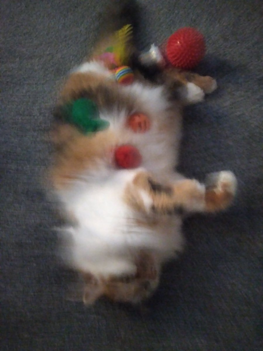 můj vánoční stromeček