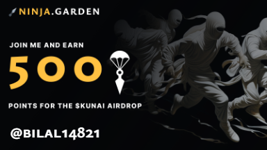 Come join me on Ninja.Garden Testnet to earn points to redeem for future airdrop of $KUNAI on #Injective. Buy my key to join my room! #NinjaGarden #TheGardenProvides