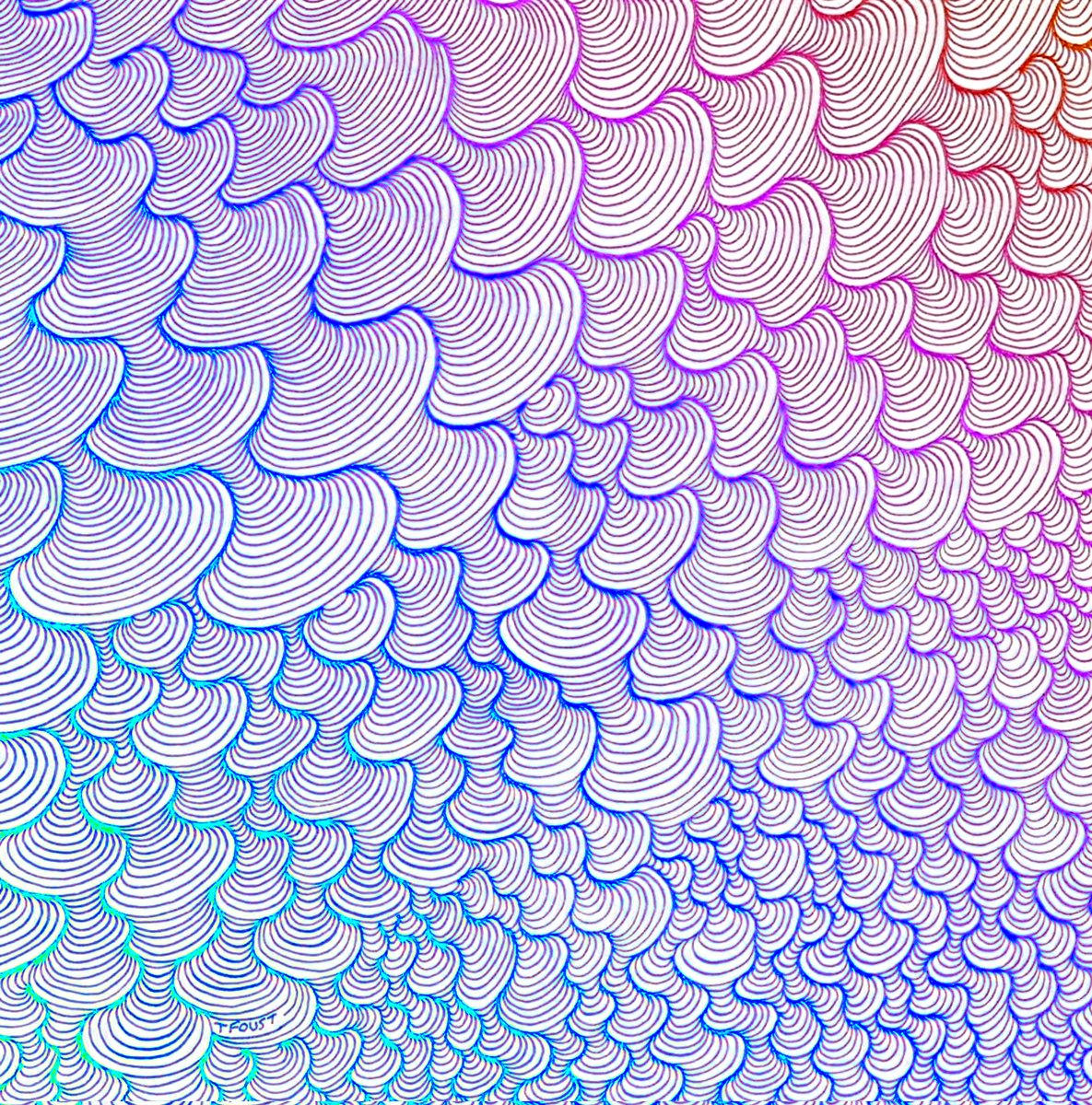 Tyler Foust tweet media