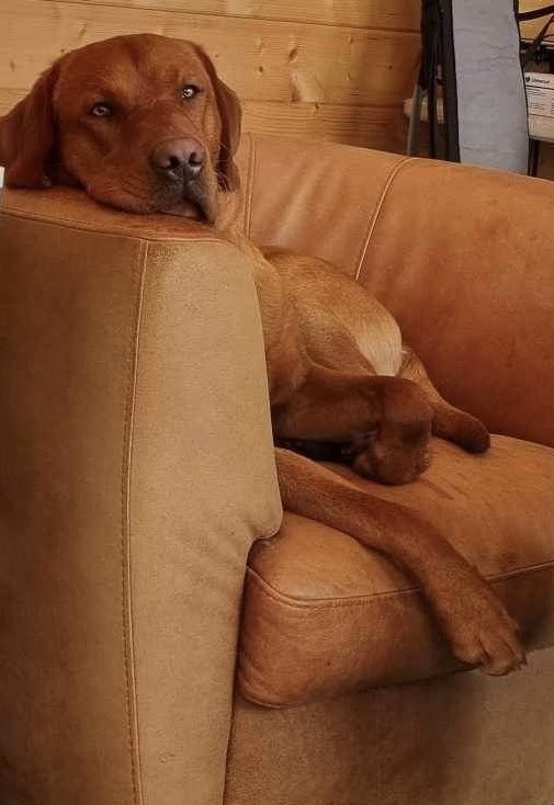 RodwellSam's tweet image. Is it lunchtime yet?