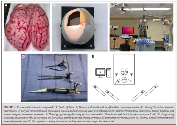 Neurosurgical Simulation and AI Learning Centre tweet media