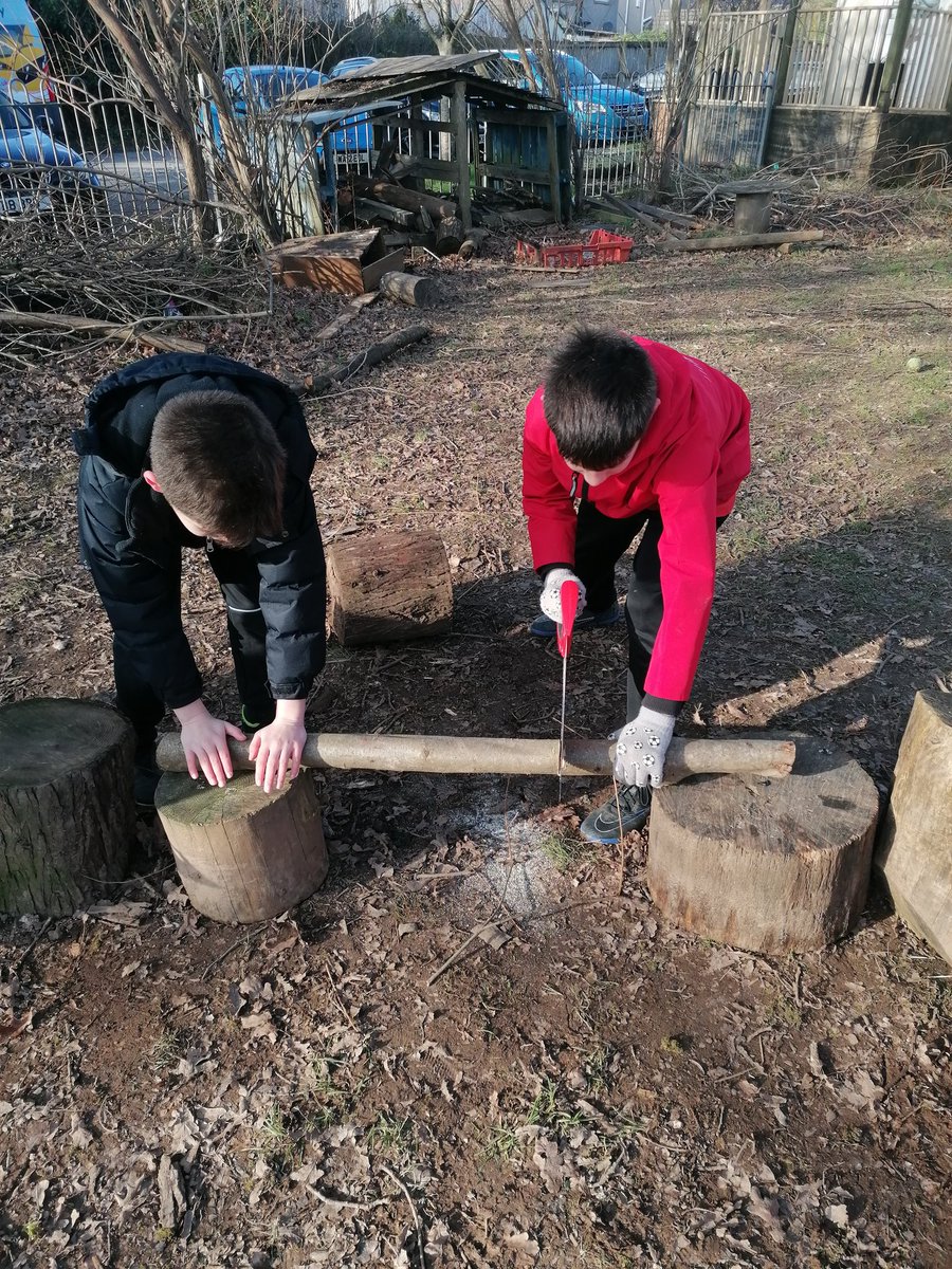 Year 5 keeping warm by cutting logs for the woodstore. Great teamwork too!