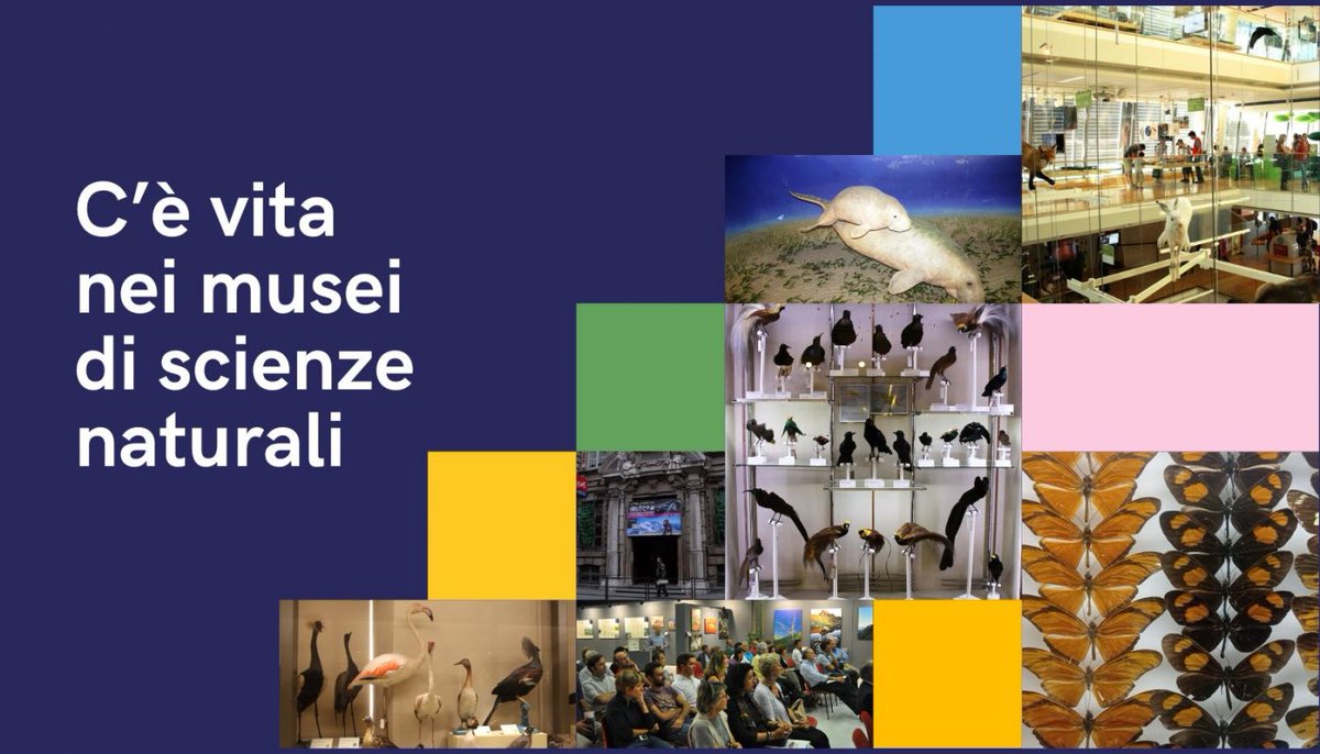 'I Musei delle meraviglie' è una nuova rubrica dedicata ai Musei di Storia naturale in Italia. Ogni mese vi porteremo idealmente in giro per l'Italia raccontandovi di musei, a partire dal Museo regionale di Scienze naturali di Torino che riapre le porte ai suoi visitatori.