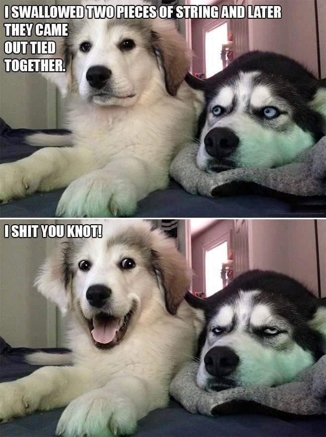 DrGamerDeed's tweet image. Happy #retrotuesday guys we are going to start todays stream #fable2 i cant wait to play with this you guys!
i.mtr.cool/hiftxmcxim