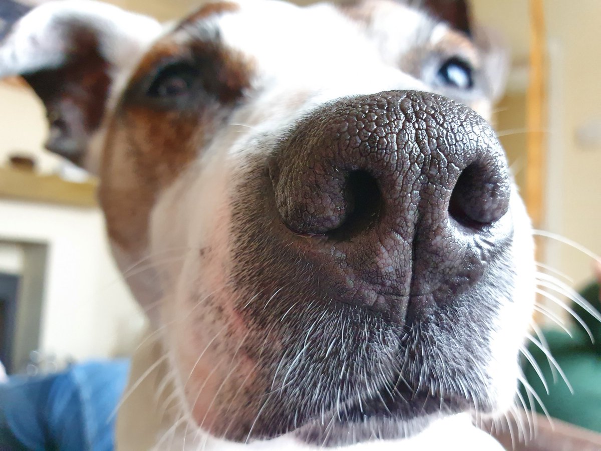 Kim Fisher tweet media