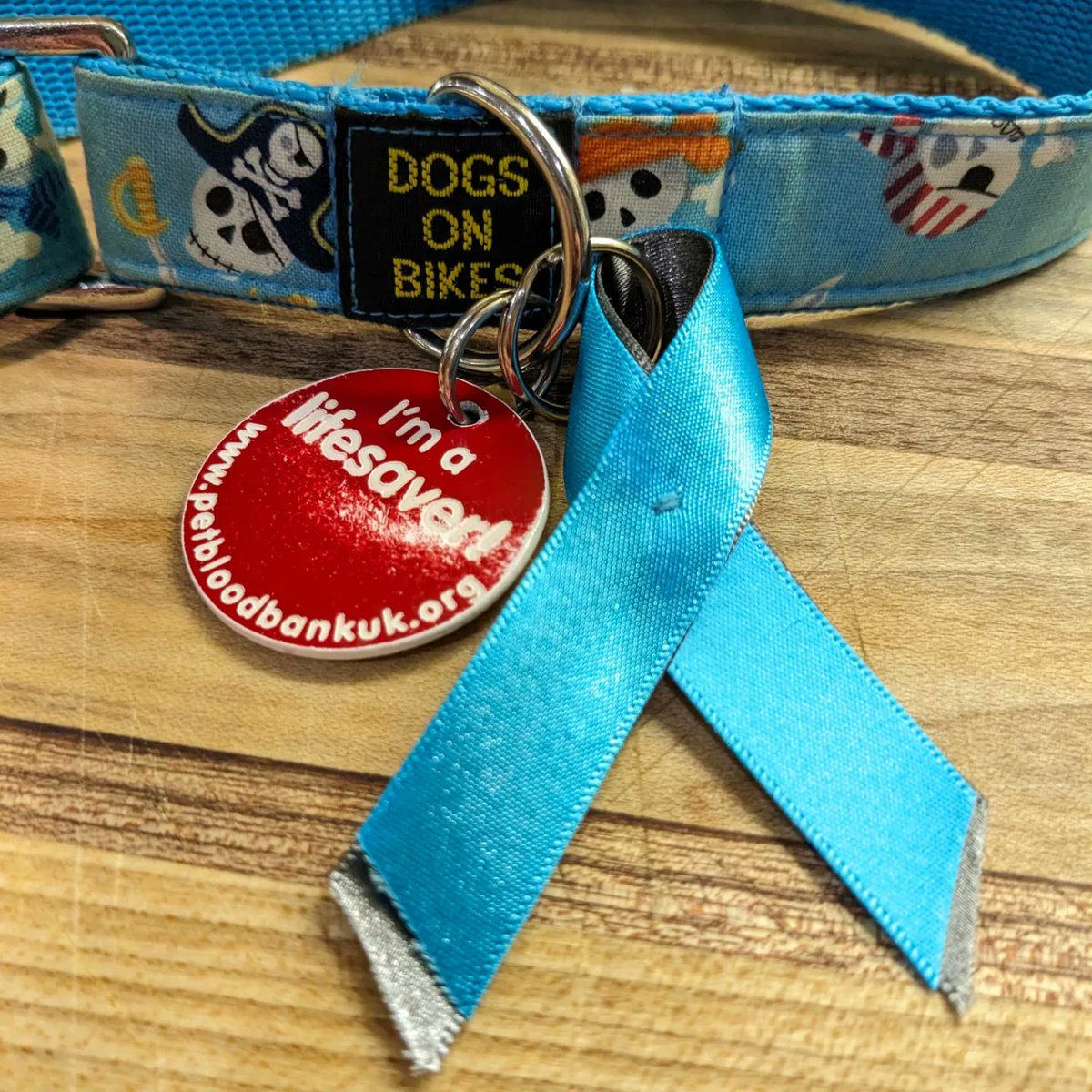 loonylankylegs's tweet photo. Post 1st chemo, methadoned up face, more shaved body parts and home ,  ultrasound, aspirated lumps, biopsies, sleep needed..... #notdeadyettour #lymphomafcku https://t.co/izTffipMDW