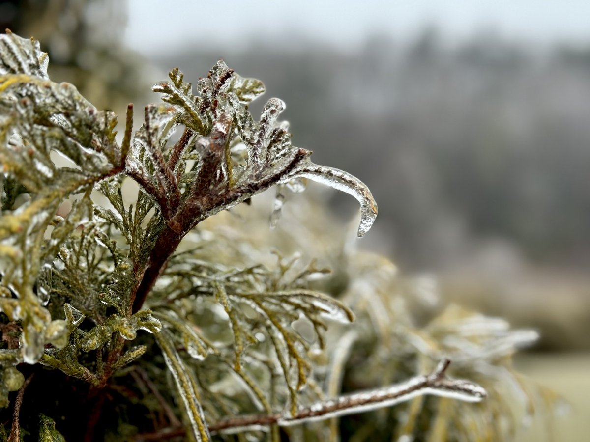 ExploretheHC's tweet photo. Little ice 🥶 in Boone, NC. 

#icemageddon #frozen #weather #ice #mountain #mountainlife #boone #highcountrync #winter https://t.co/x0U7uAxl1l