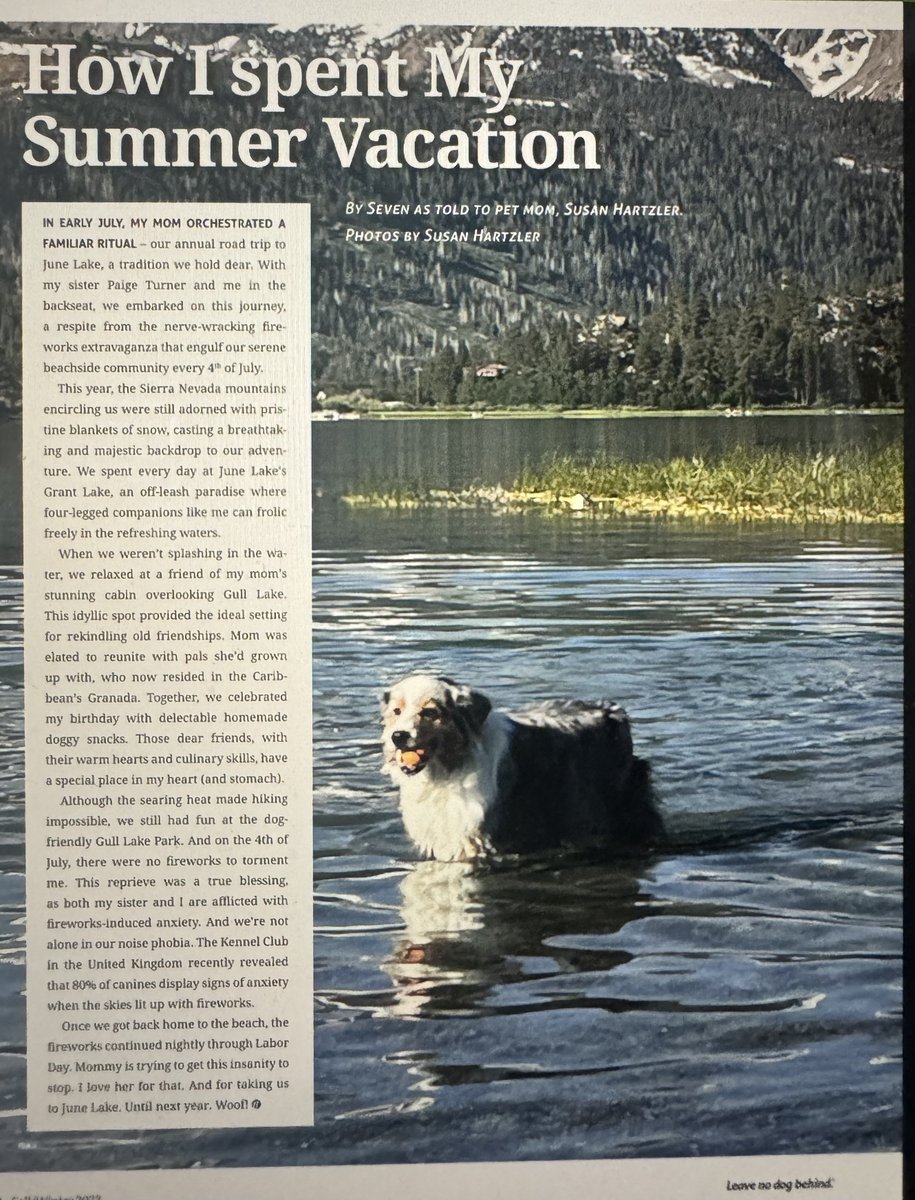 Look who won How I Spent My Summer Vacation contest in #FidoFriendlyMagazine! Seven, of course!
#aussie #australianshepherdlovers #aussieshepherd #doglove #dog #doglife #dogvacation #cutedogs #dogsarethebest #dogmomlife #lovemypet #ilovemydog #dogtravel #mammothlakes #junelake