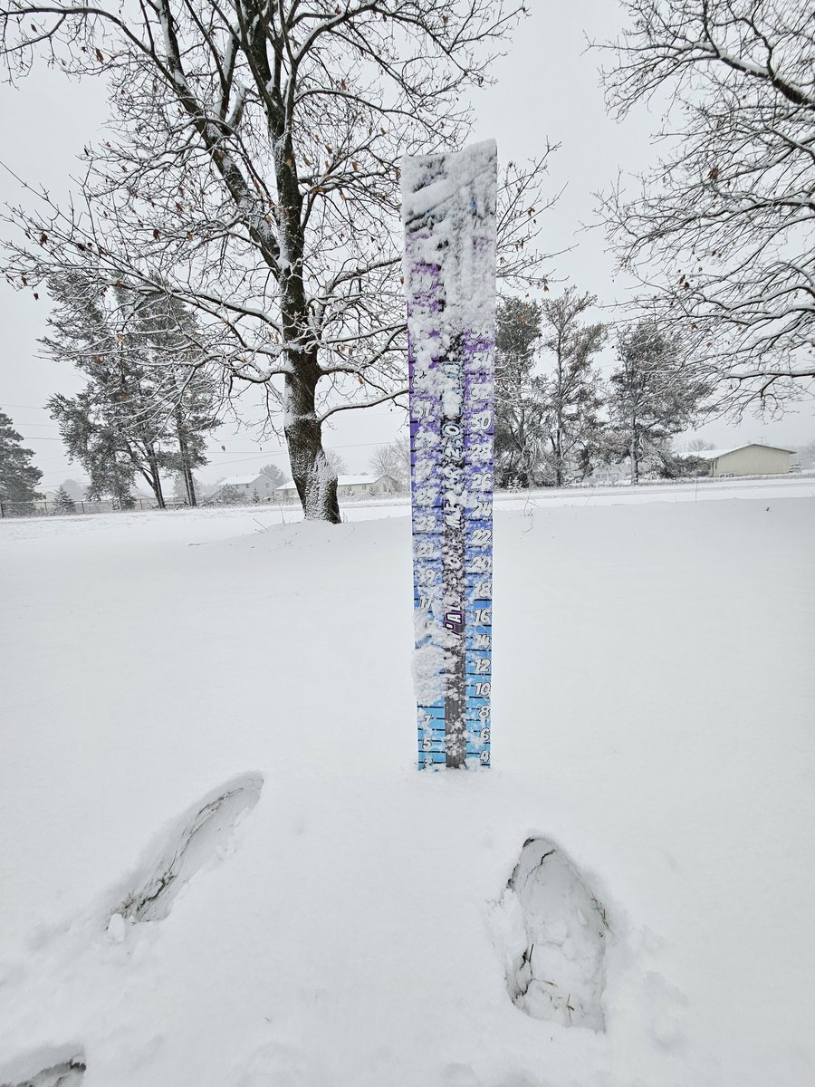 conquestskies's tweet photo. @ryanhallyall  Still got more snow on the way ;) Central WI https://t.co/vafioKtOZJ