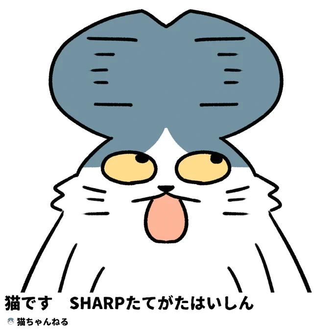 #本ミリバール
縦型配信に失敗する猫です 