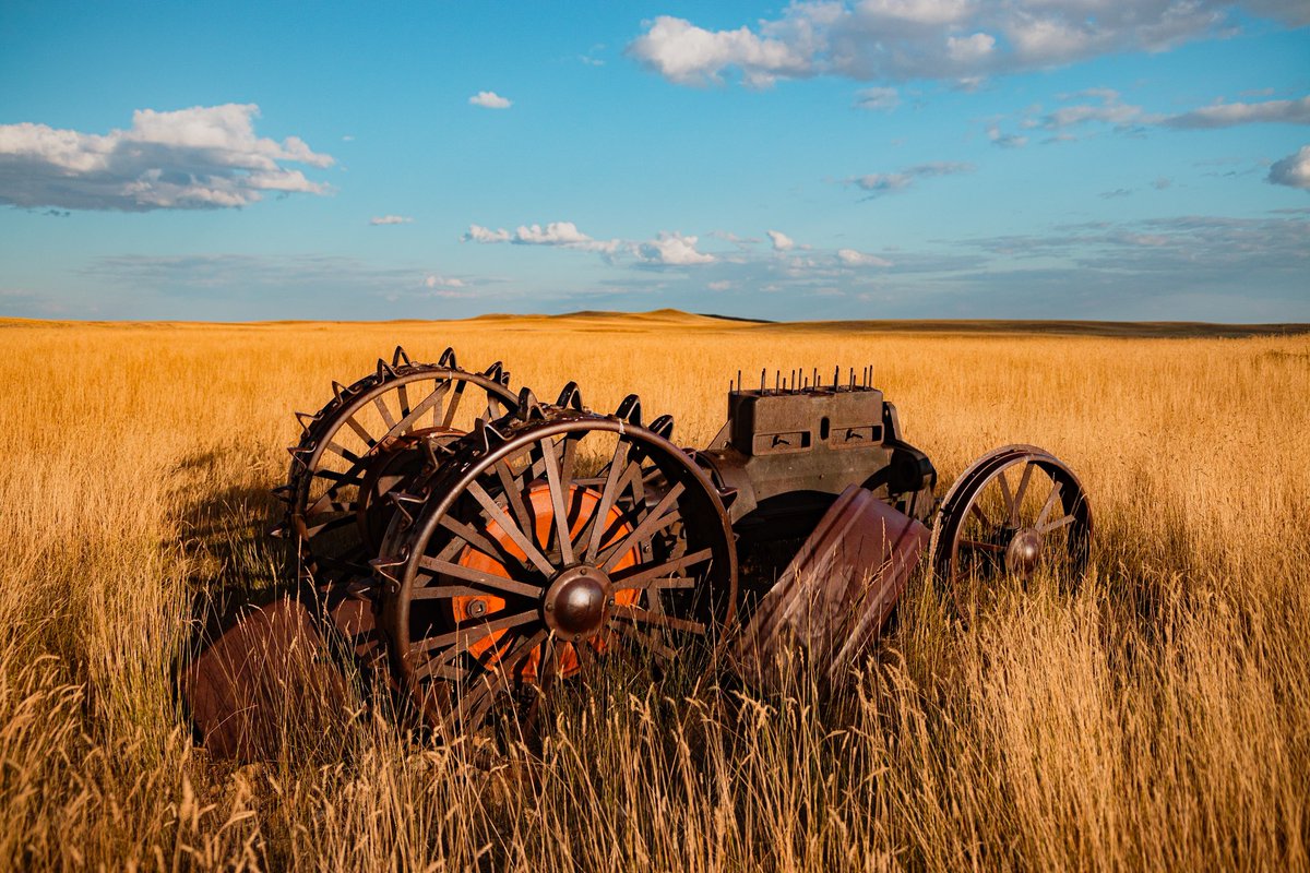 SKemp_97's tweet photo. First post back in a long time, but these from my trip to Montana were too good not to share https://t.co/4lUv66MTWI