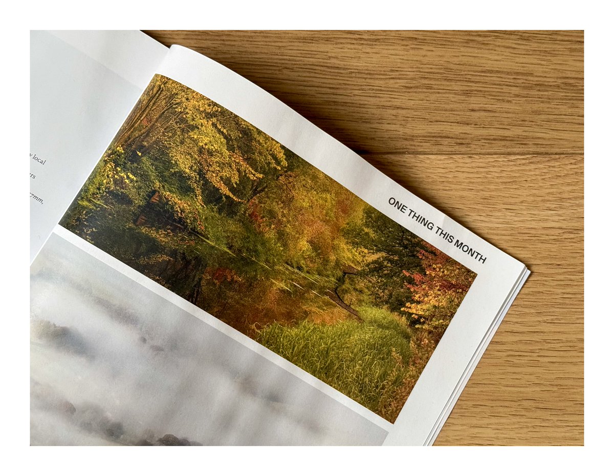 David Queenan tweet media