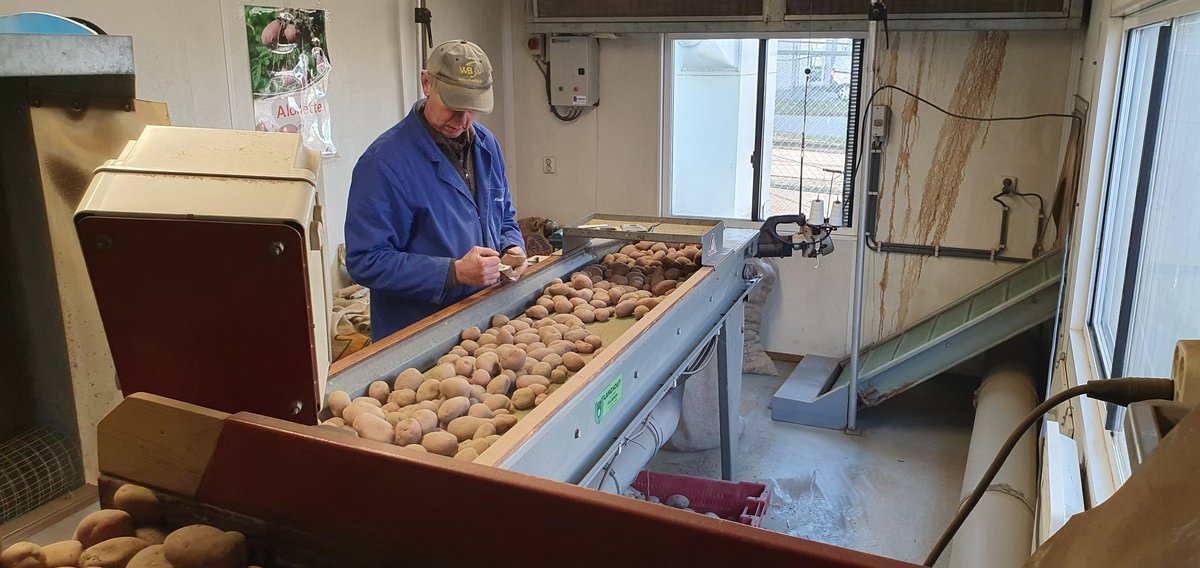 Olaf van Campen tweet media