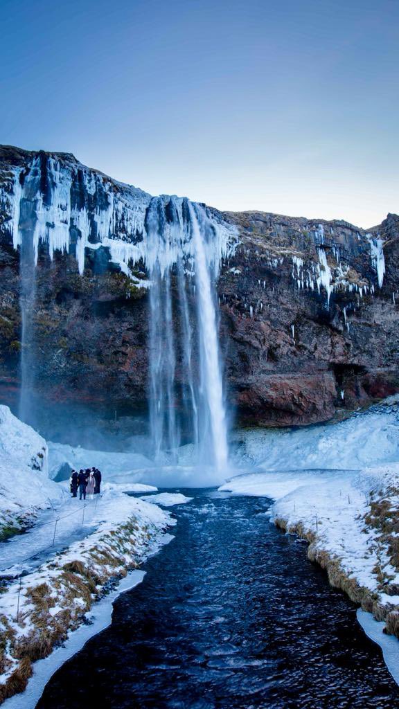 Gullible tweet media