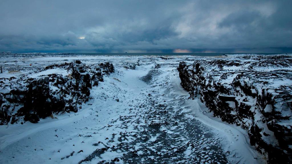 Gullible tweet media